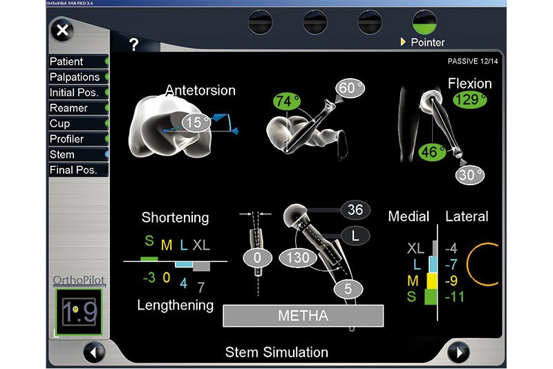 Stem Simulation