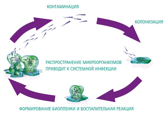 Формирование биопленки