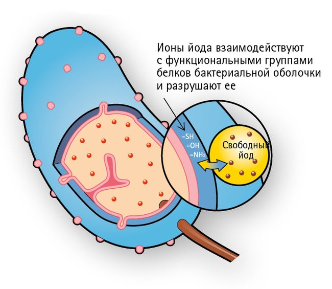 Браунодин. Схема 2